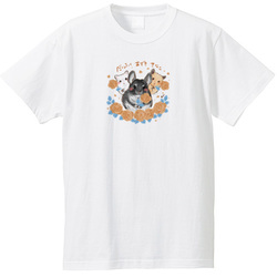 だいふく&あずき&きなこ