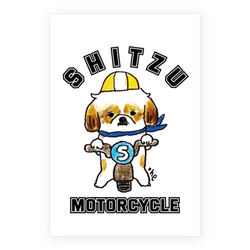SHITZU