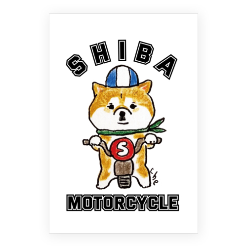 SHIBA