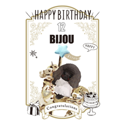 BIJOU