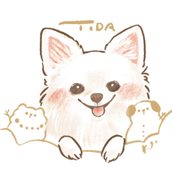 TIDA