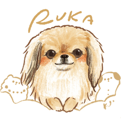 RUKA