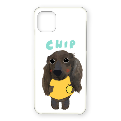 CHIP