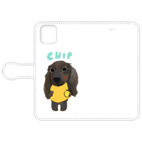 CHIP