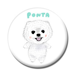 PONTA