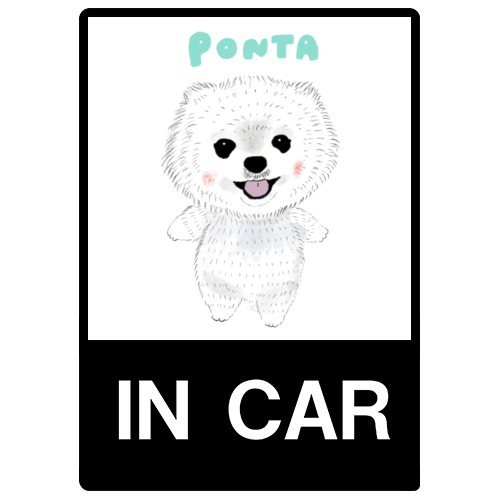 PONTA