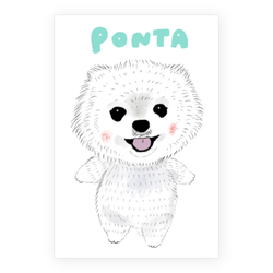 PONTA