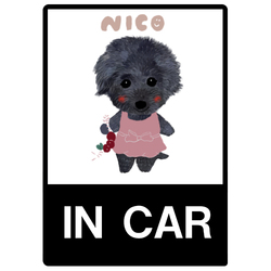 nico