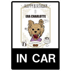 ERA CHARLOTTE