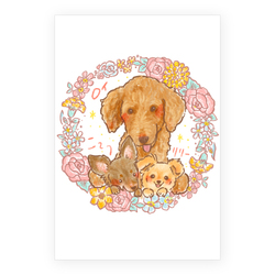 ロイ&こてつ&リリー