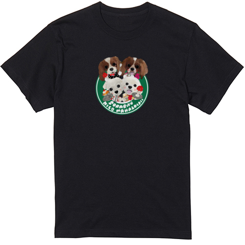 NIKO HAMALO RIKU SORA