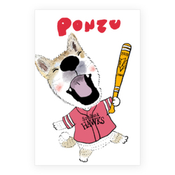 PONZU