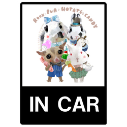 rook pua hotate candy