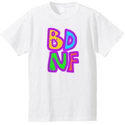 BDNF 重要栄養素