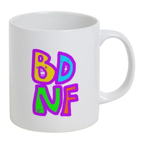 BDNF 重要栄養素