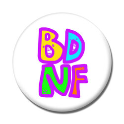 BDNF 重要栄養素