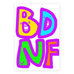BDNF 重要栄養素
