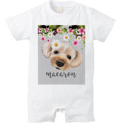 macaronちゃん