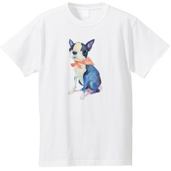 sample