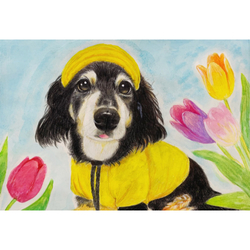 デザイン名/ チョコちゃんの絵グッズ