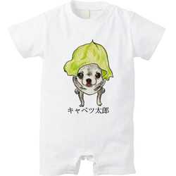 わらびちゃん