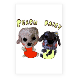 PEACH DAISY