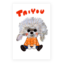TAIYOU