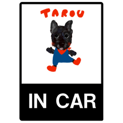 TAROU