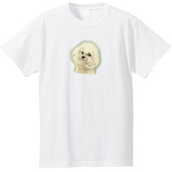 ビジョンフリーゼ2020