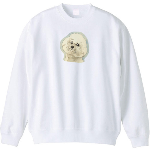 ビジョンフリーゼ2020