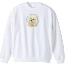 ビジョンフリーゼ2020