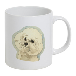 ビジョンフリーゼ2020