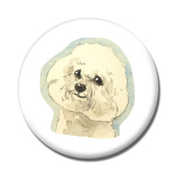 ビジョンフリーゼ2020