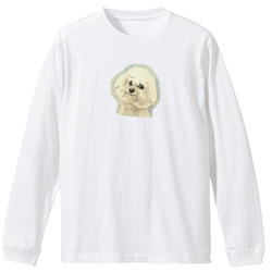 ビジョンフリーゼ2020