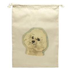 ビジョンフリーゼ2020