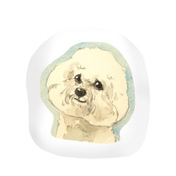 ビジョンフリーゼ2020