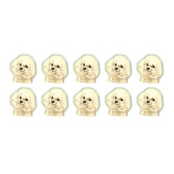 ビジョンフリーゼ2020