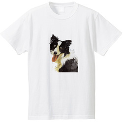 ボーダーコリー