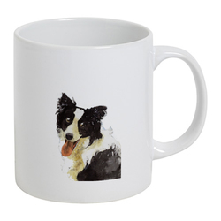 ボーダーコリー