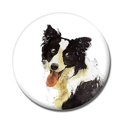 ボーダーコリー