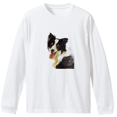 ボーダーコリー