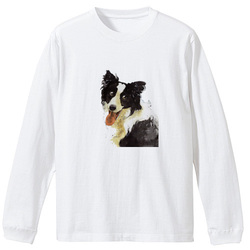 ボーダーコリー