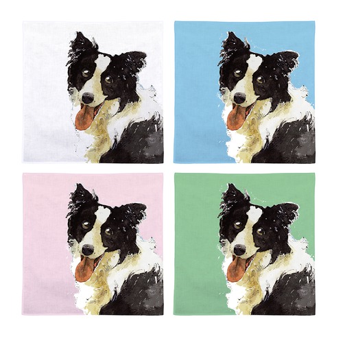 ボーダーコリー