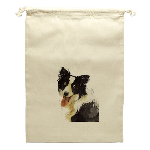 ボーダーコリー