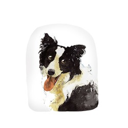 ボーダーコリー