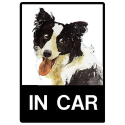 ボーダーコリー