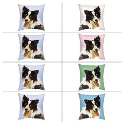 ボーダーコリー