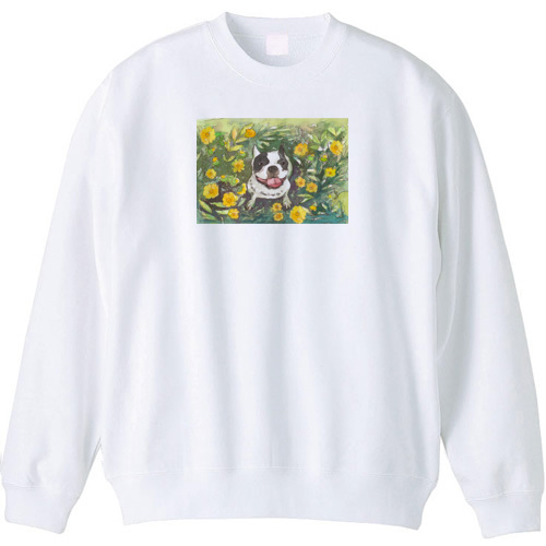 フレンチブルドッグ１