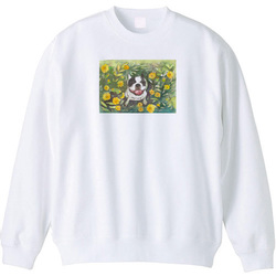 フレンチブルドッグ１