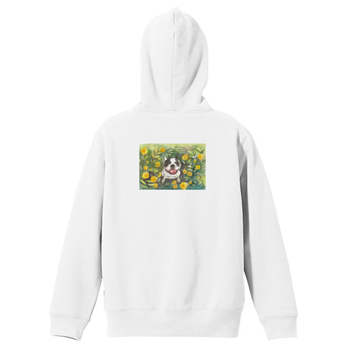 フレンチブルドッグ１